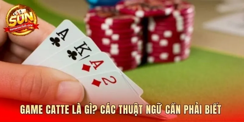 Giải thích các thuật ngữ chính trong bài Catte